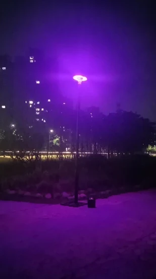 Ukisolar Luci solari da giardino Home Depot con RGB e telecomando, palo diviso da 4 m