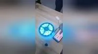 Lampada da coltivazione a LED regolabile ad alta potenza a 4 spettro completo per piante da serra 400W/500W/700W/200W Lampada da coltivazione a LED per piante da serra